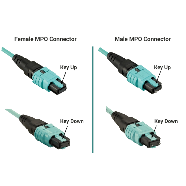 Female and Male MPO connector