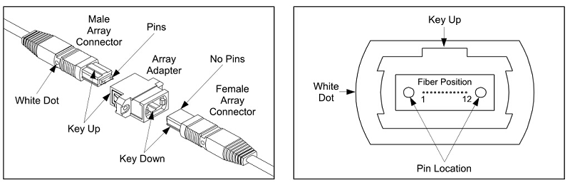 MPO-connector-structure